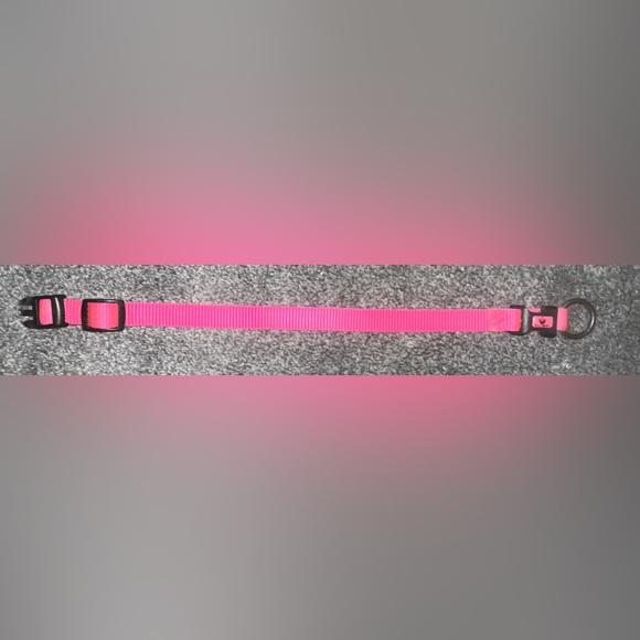 🎉HOST PICK 🎉 Hot Pink Dog Collar - Picture 2 of 7